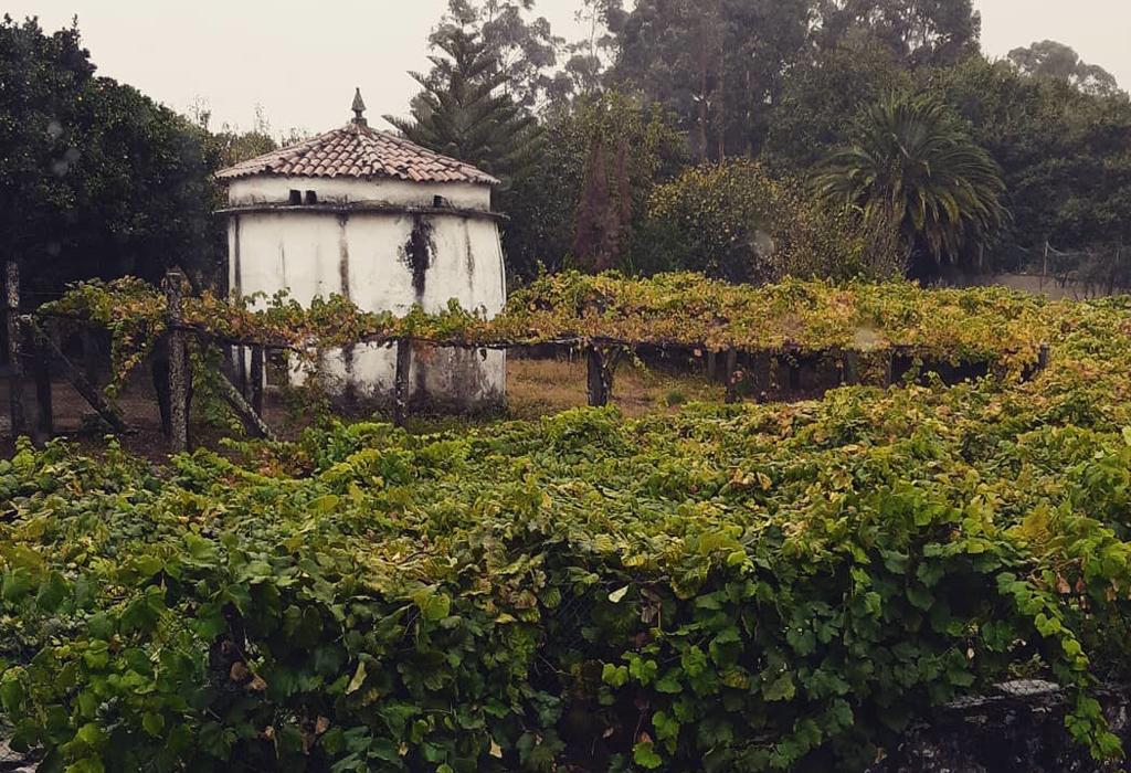 Pombal da Casa Grande de Gondar - Catoira - San Pedro de Dimo