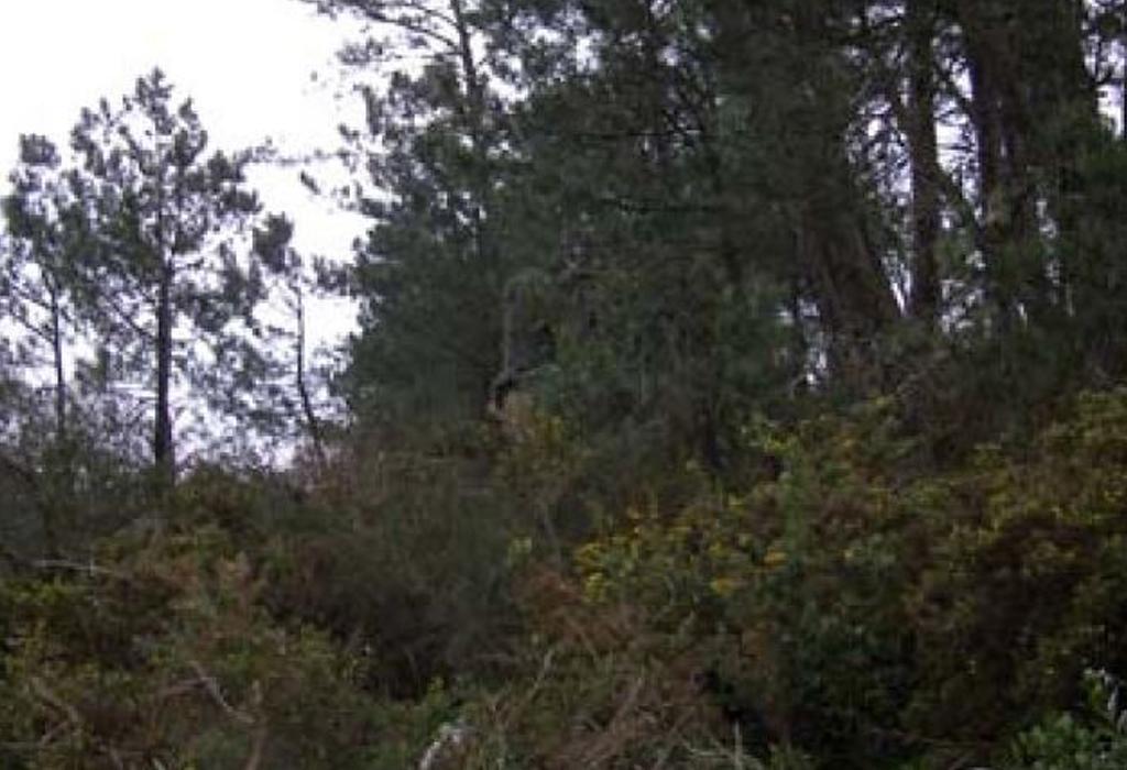 Pombal da Casa Nº 3 de Sestelo - Rianxo - Santa María de Isorna