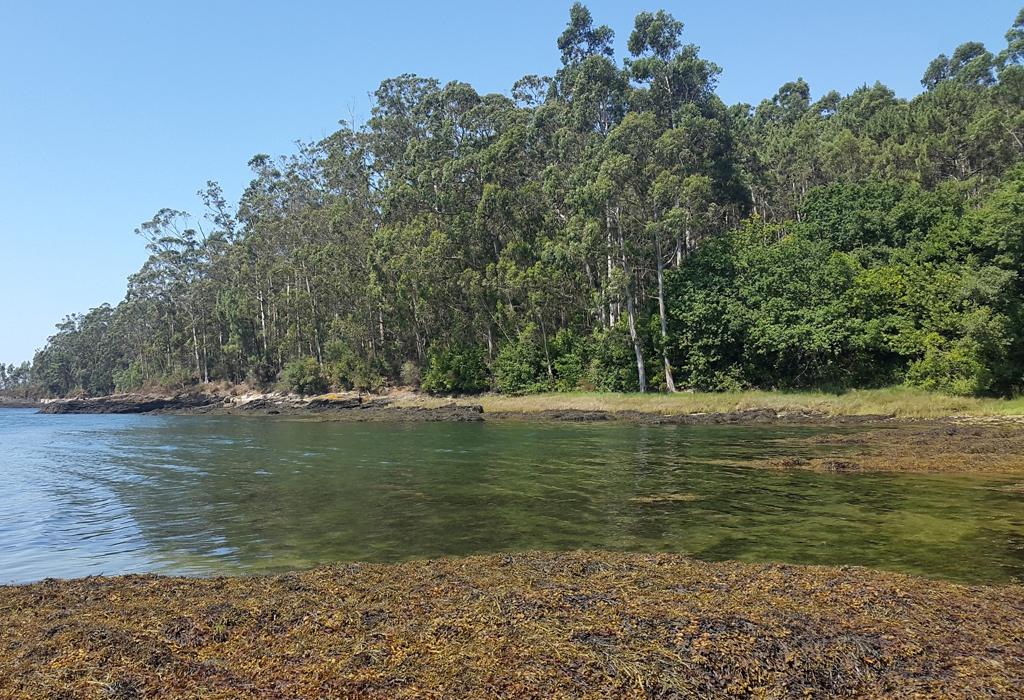 Praia do Agriño - Rianxo - Santa María de Leiro