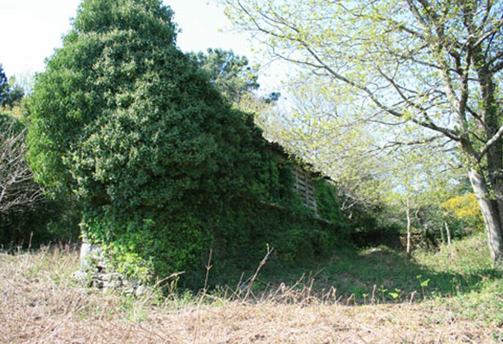 Hórreo da casa reitoral de Santa María de Leiro - Rianxo - Santa María de Leiro