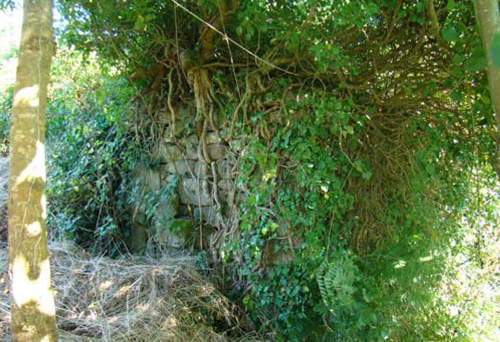 Muíño do Fondego - Catoira - San Pedro de Dimo