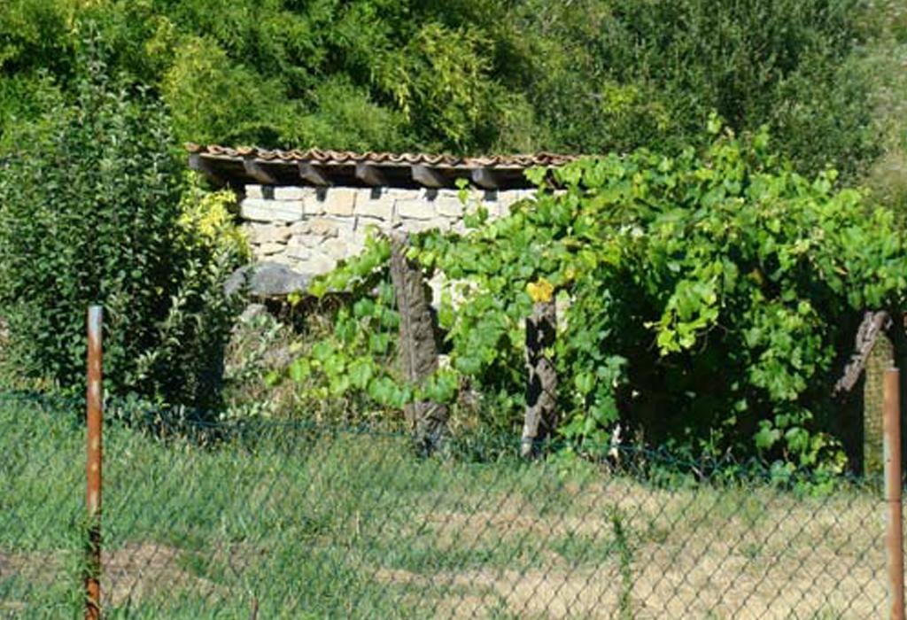 Muíño dos de Areal - Catoira - San Pedro de Dimo