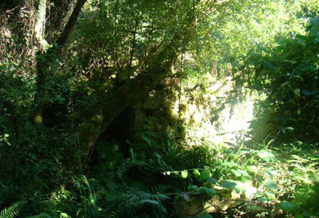 Muíño de Rodríguez - Catoira - San Pedro de Dimo