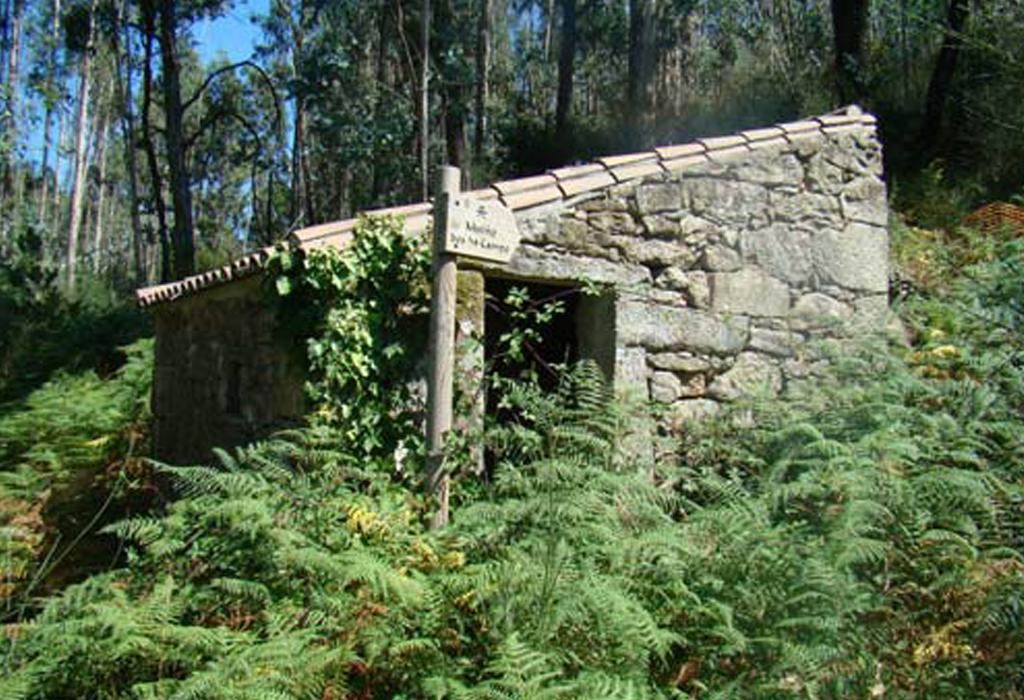 Muíño dos do Campo - Catoira - San Mamede de Abalo