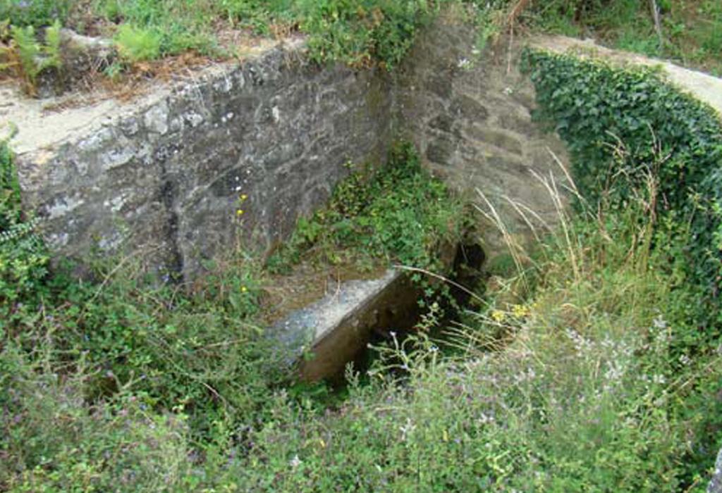 Fonte do Souto - Catoira - San Mamede de Abalo