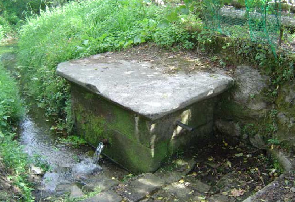 Fonte da Parrocha - Dodro - Santa María de Dodro