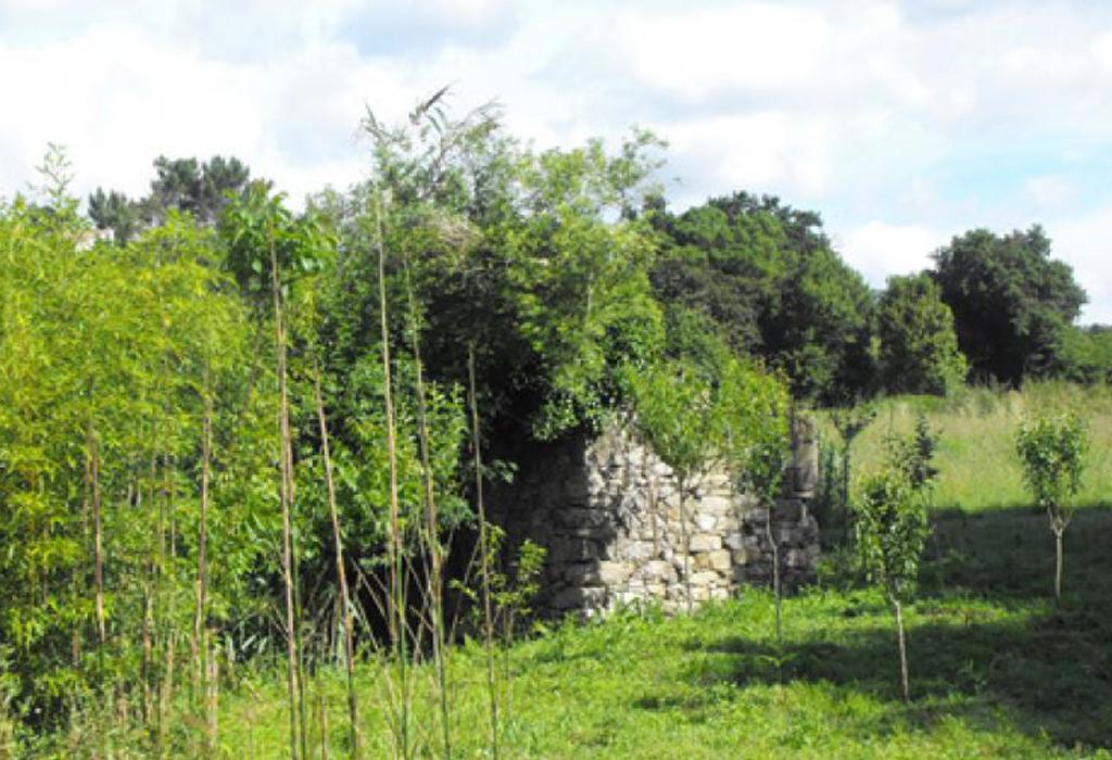 Muíño do Laxido - Rianxo - Santa María de Asados