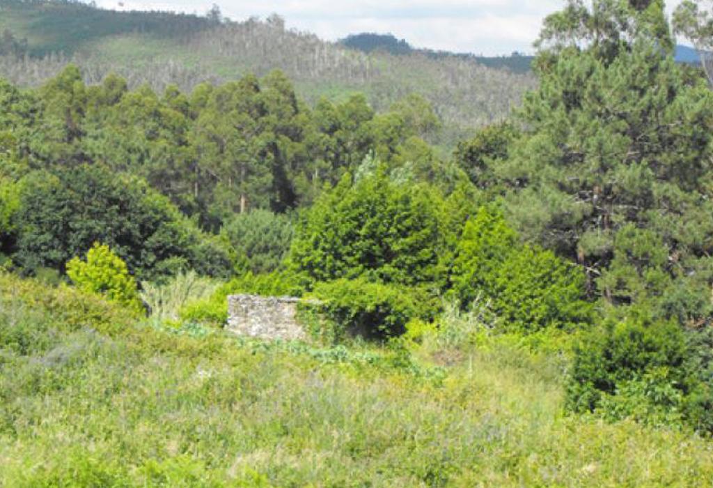 Muíño da Igrexa - Rianxo - Santa María de Leiro