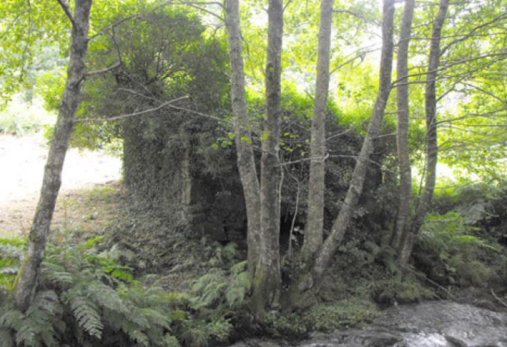 Muíño de Tarrano - Rianxo - Santa Baia do Araño