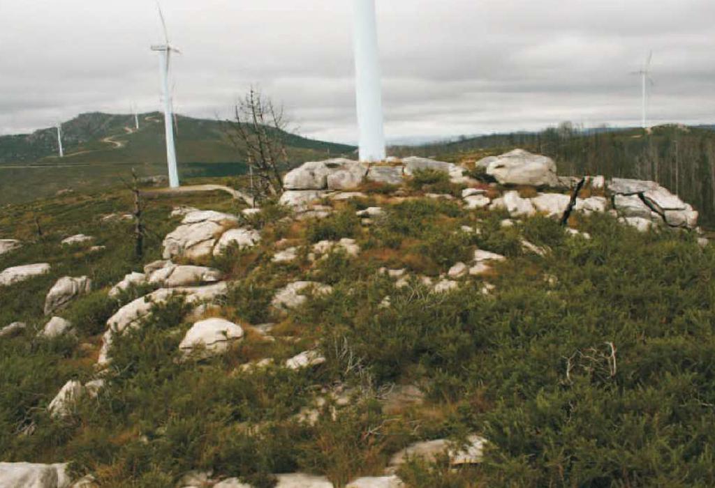 Petróglifo Nº 2 das Pozas - Dodro - San Xoán de Laíño
