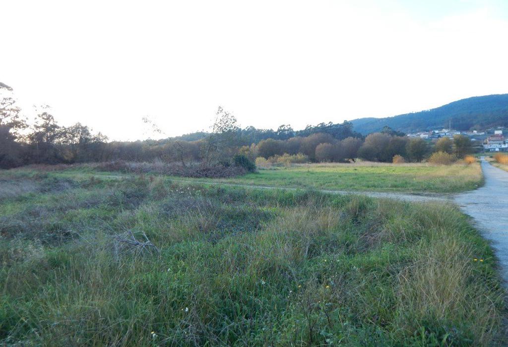 Xacemento da Veiga de Abaixo - Dodro - San Xoán de Laíño