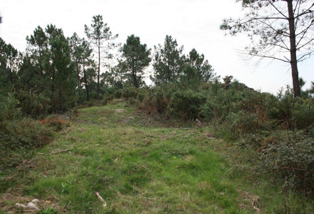 Castelo do Monte Vilar - Dodro - Santa María de Dodro