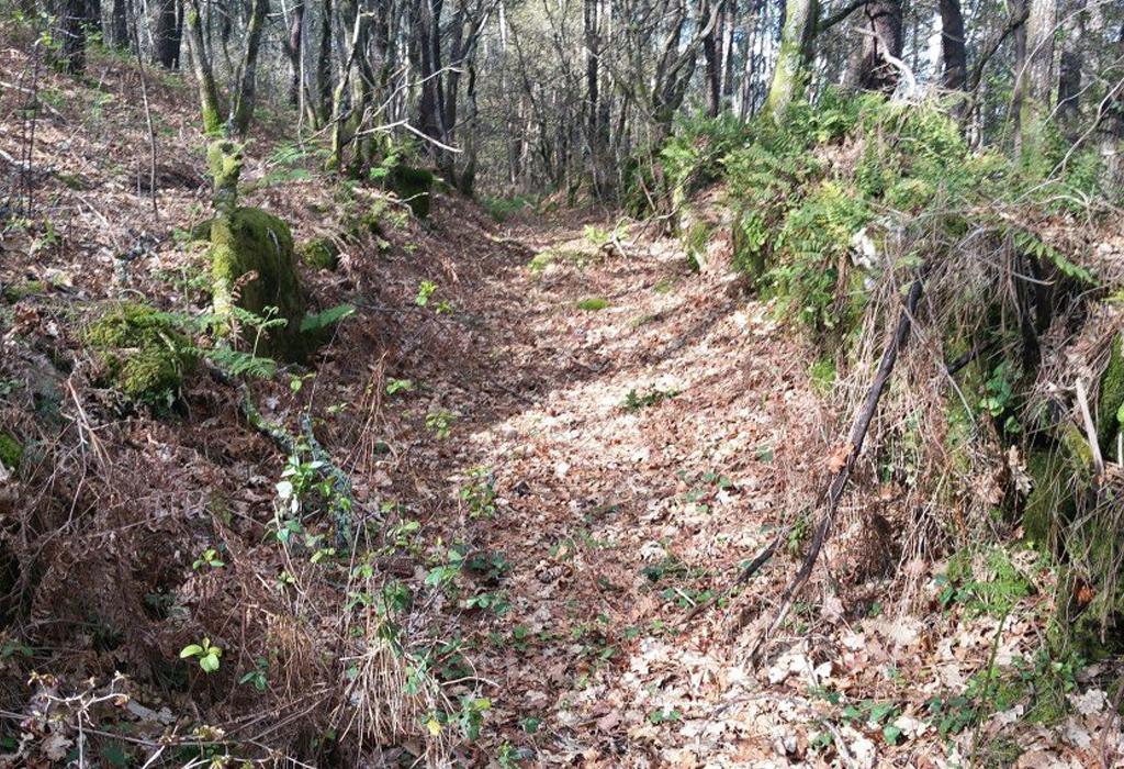 Camiño Real - Dodro