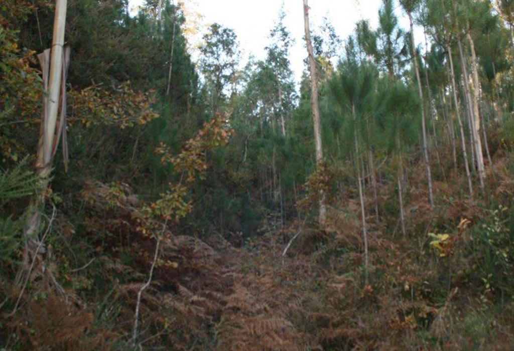 Curuto do Castro - Padrón - San Pedro de Carcacía