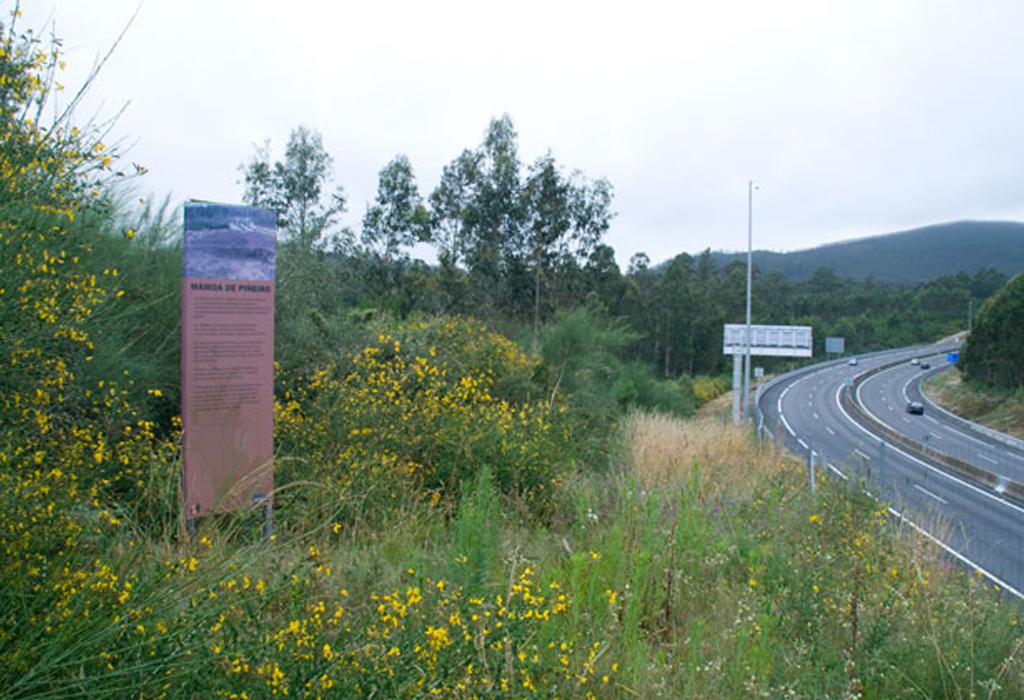 Mámoa de Piñeiro - Rianxo - Santa María de Isorna