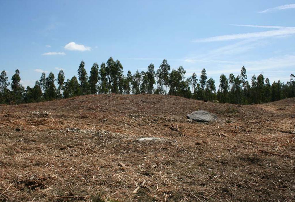 Mámoa Nº 3 dos Campiños - Rianxo - Santa María de Isorna