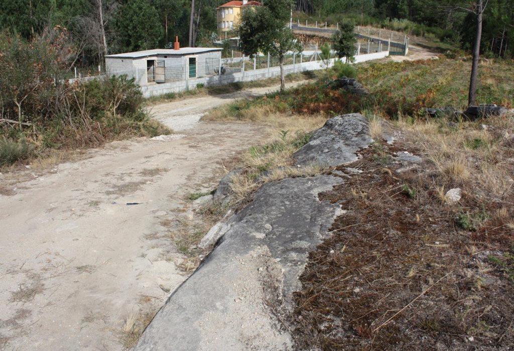 Petróglifo Nº 2 dos Mouchos - Rianxo - Santa María de Leiro