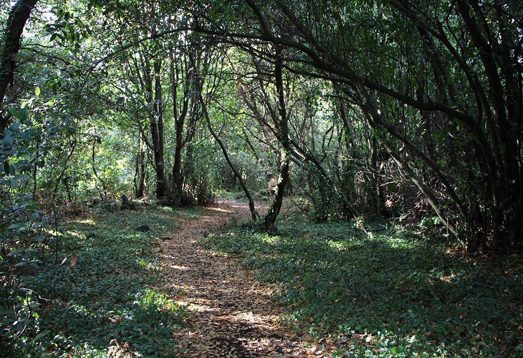 A Granxa - Vilagarcía de Arousa - San Xens de Bamio