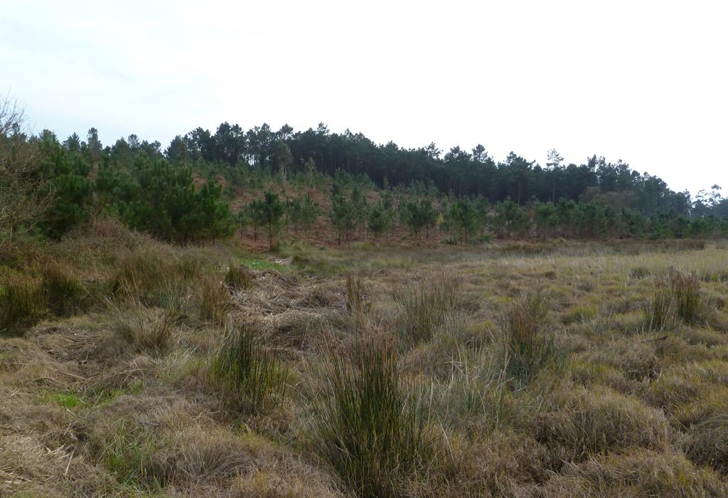 Barreira do Monte Leveiró - Valga - Santa Comba de Cordeiro