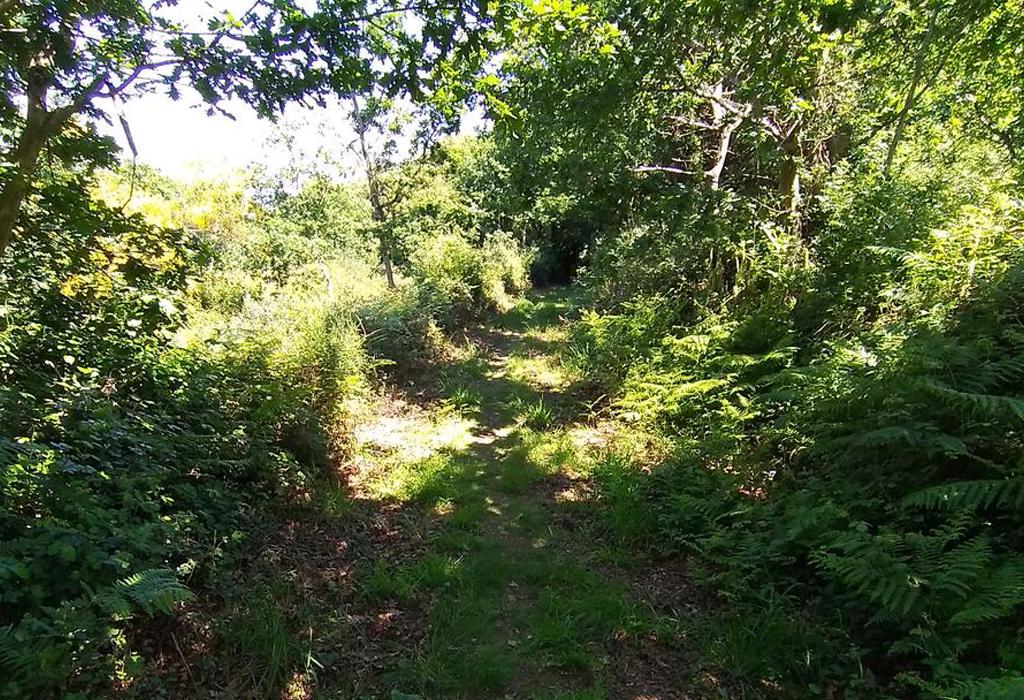 Camiño Real - Catoira