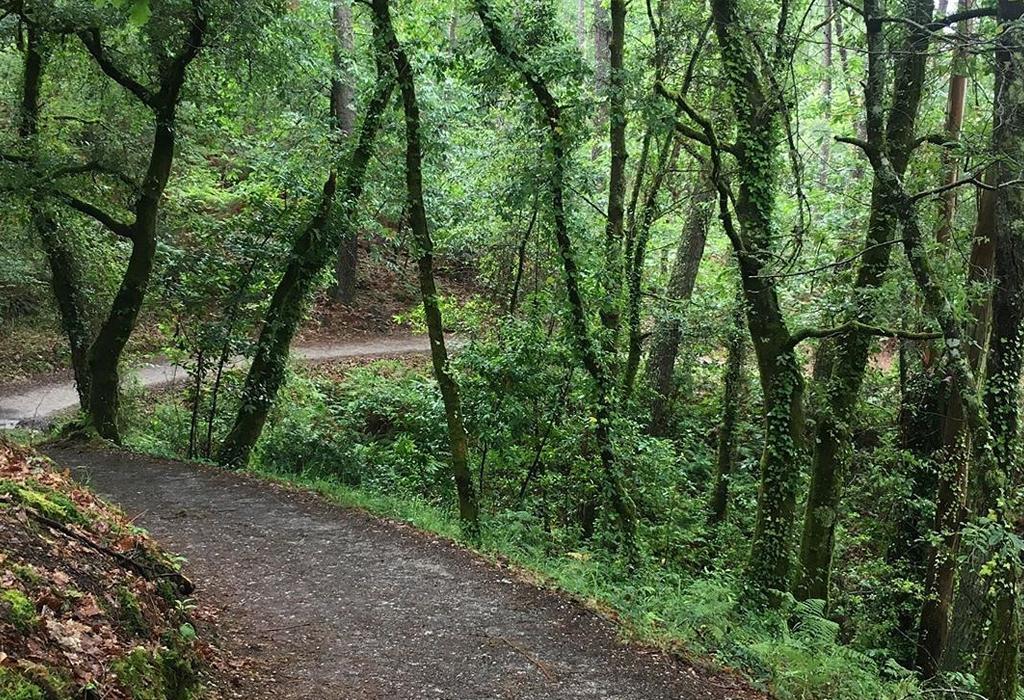 Camiño Portugués - Valga