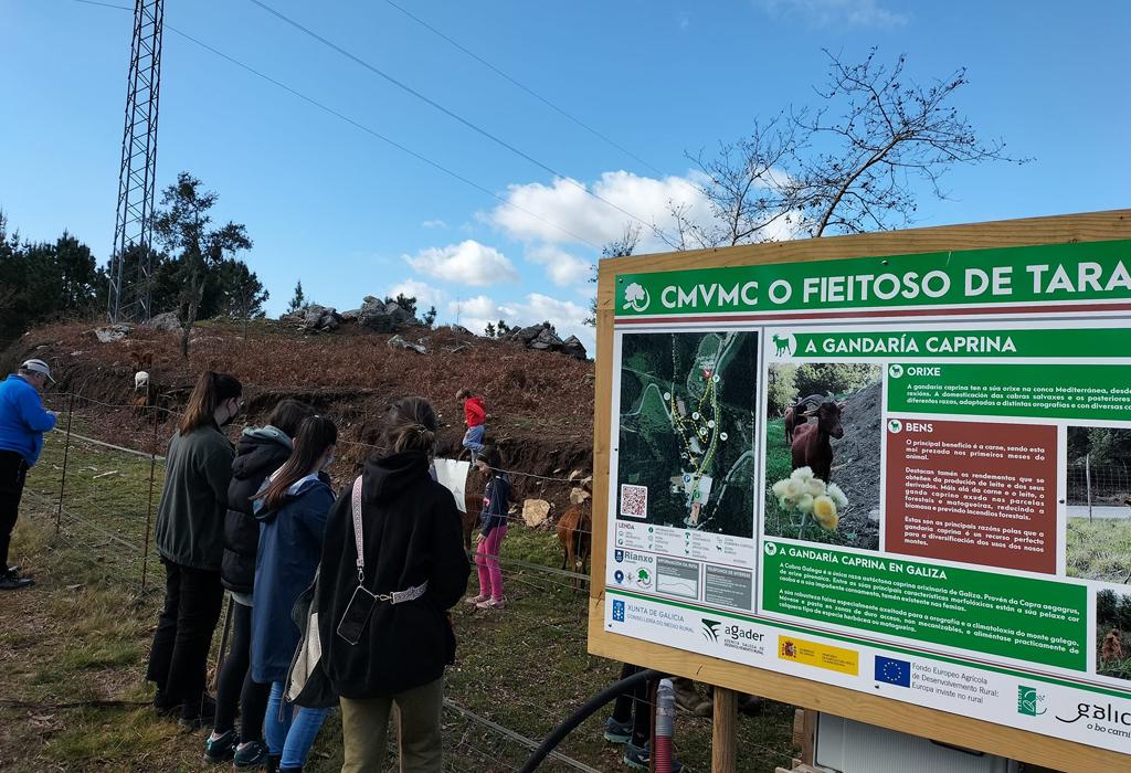Campo Maneiro - Rianxo - San Salvador de Taragoña
