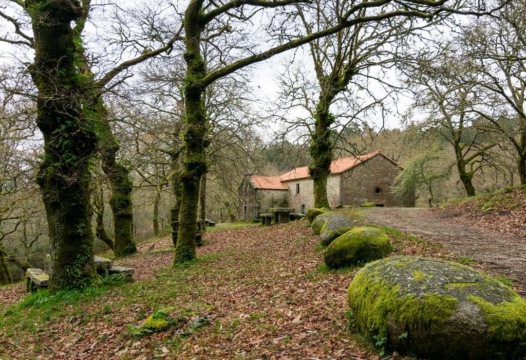 Carballeira de San Cibrán - Catoira - San Pedro de Dimo