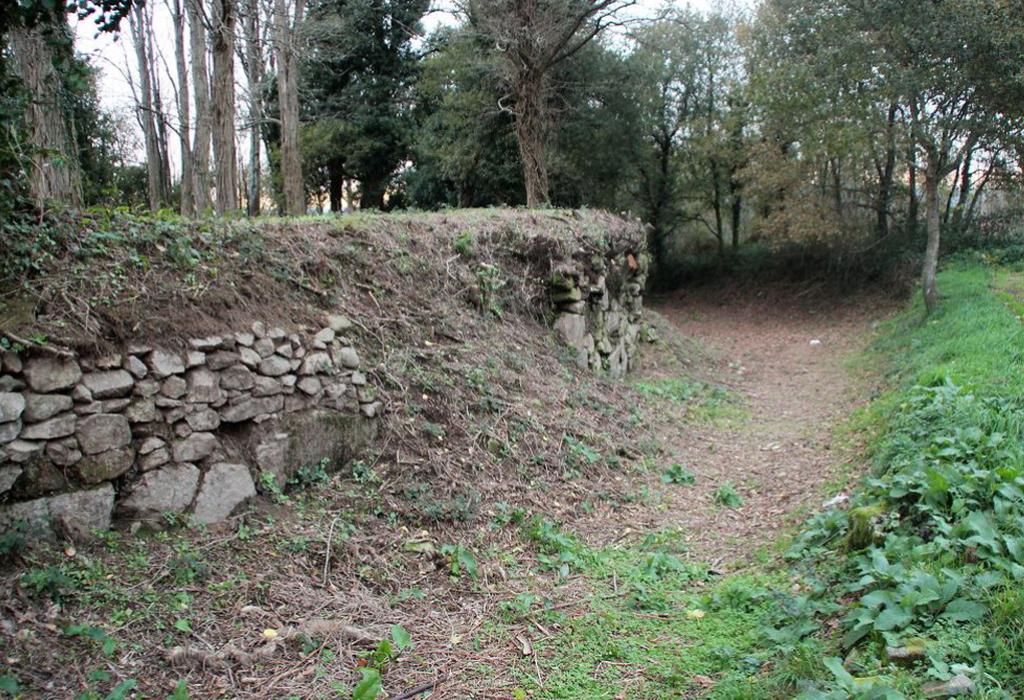 Castelo da Rocha Branca - Padrón - Santa María de Iria Flavia