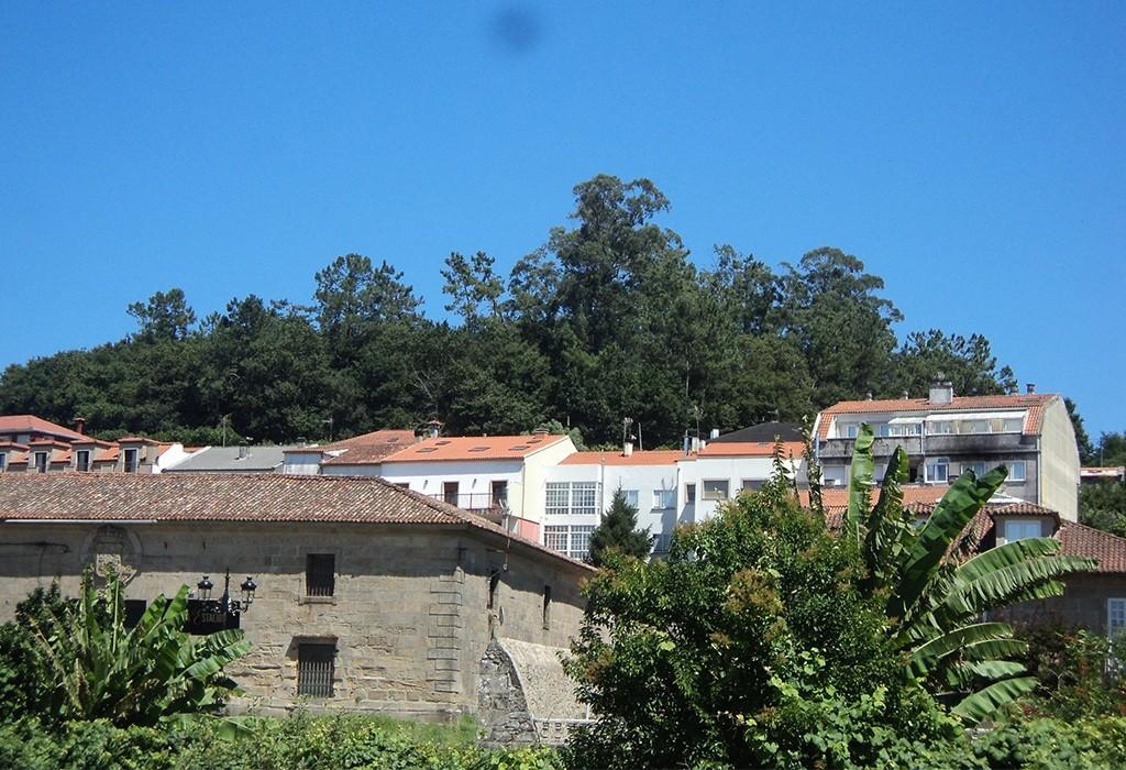Castro Cesures - Pontecesures - San Xulián de Requeixo