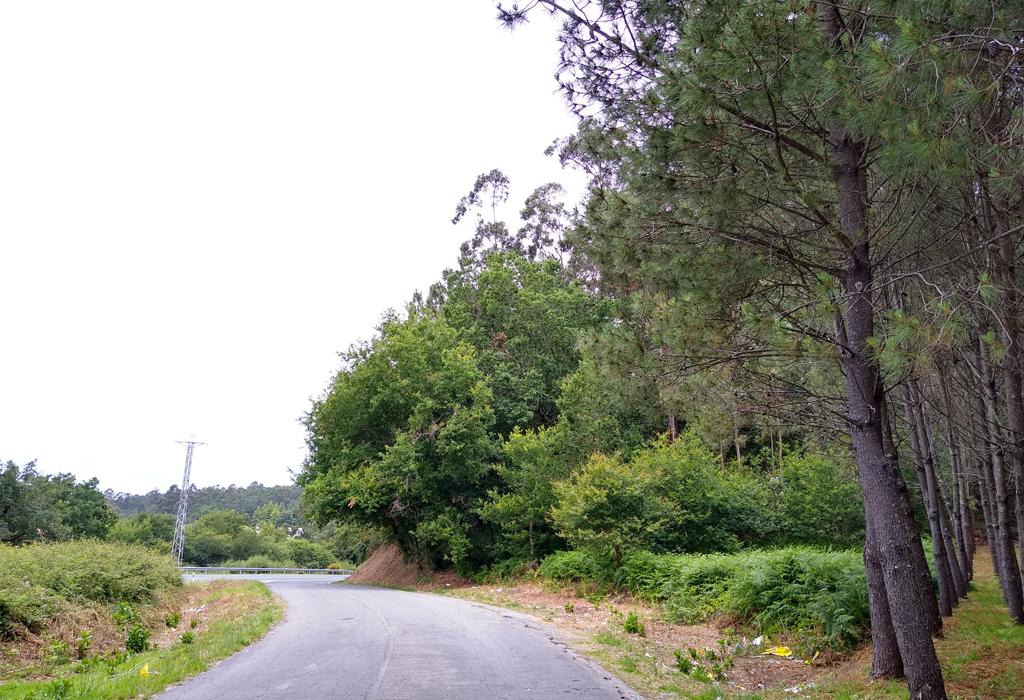 Castro da Roda - Valga - San Salvador de Setecoros