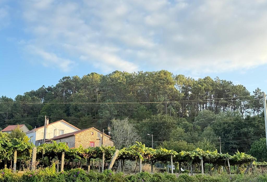 Castro de Balleas - Valga - Santa Comba de Cordeiro