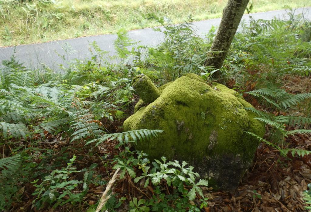 Cruceiro da Tomada - Dodro - San Xián de Laíño