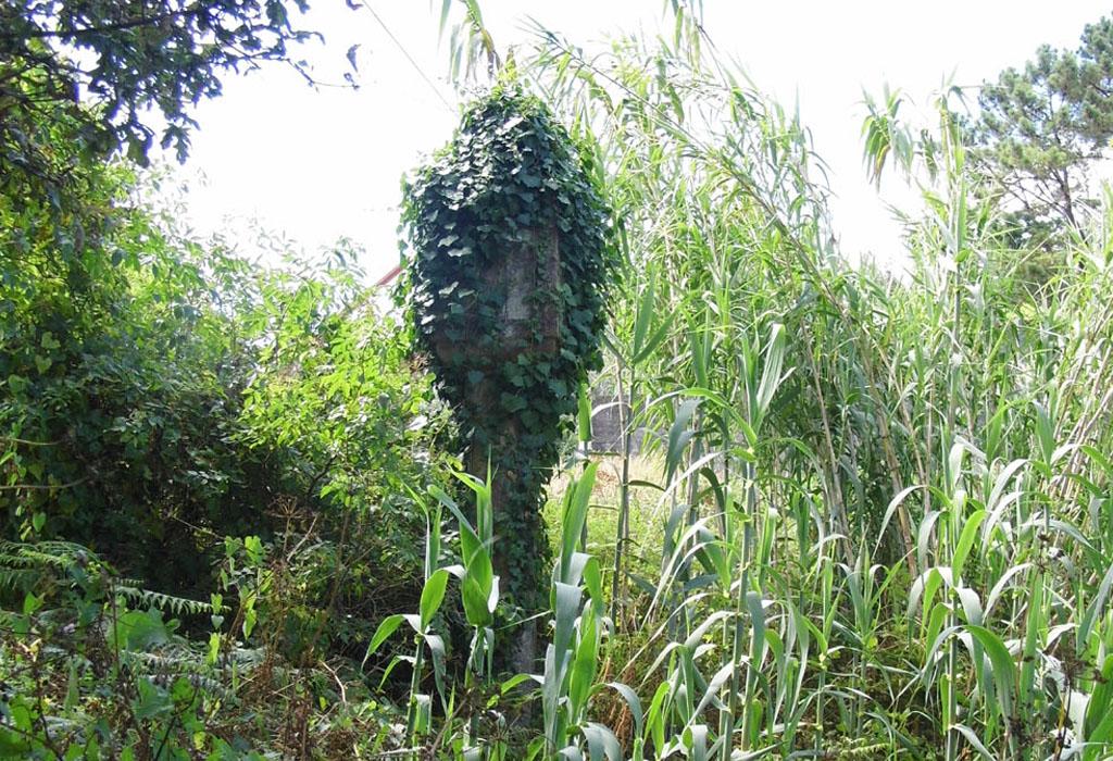 Cruceiro do Souto - Rianxo - Santa Baia do Araño