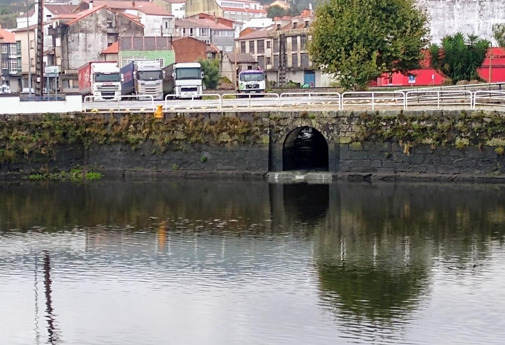 Desembocadura do rego Salgueirón - Pontecesures - San Xulián de Requeixo