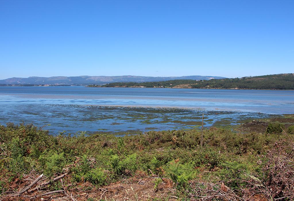 Enseada da Igrexa - Vilagarcía de Arousa - San Xens de Bamio