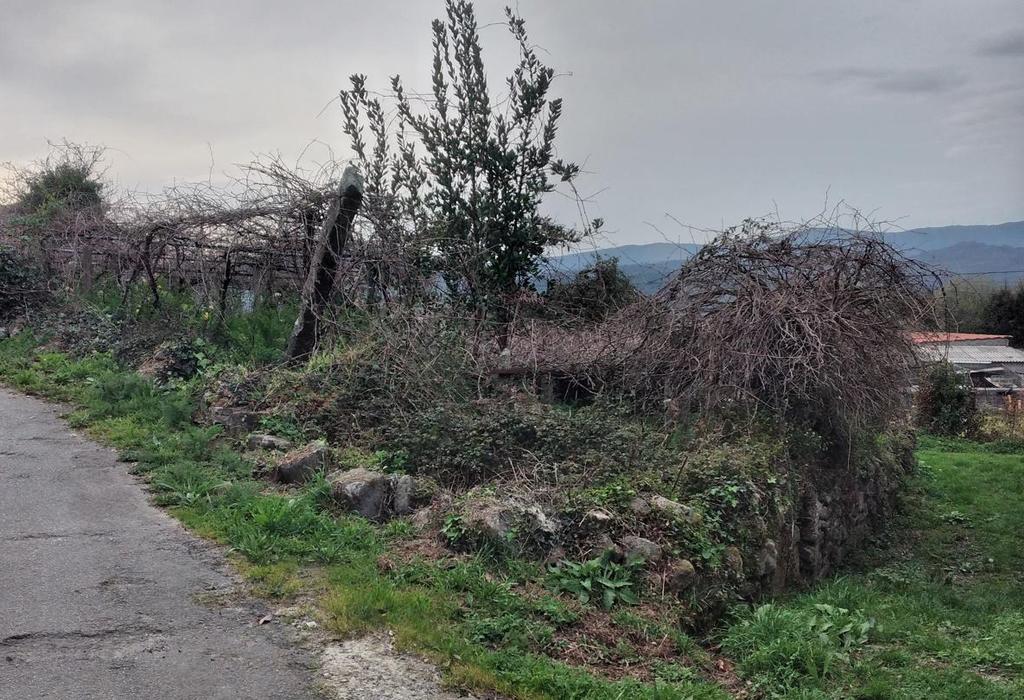 Finca da Capela - Catoira - San Pedro de Dimo