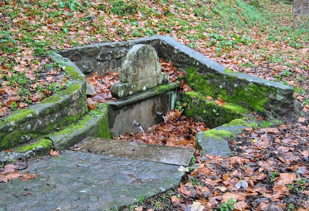 Fonte Gaiteira - Catoira - San Miguel de Catoira