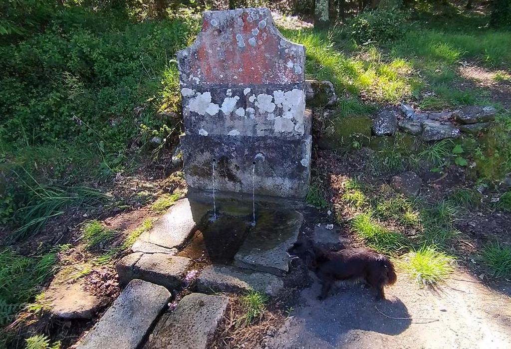 Fonte da Devesa - Catoira - San Mamede de Abalo