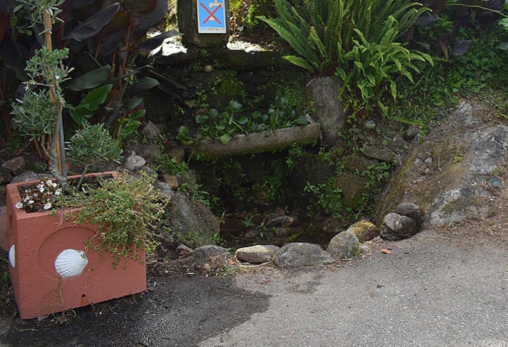 Fonte de Cimadevila - Valga - San Miguel de Valga