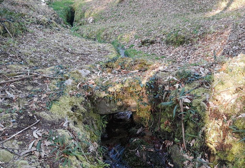 Fonte do Revixón - Dodro - San Xián de Laíño