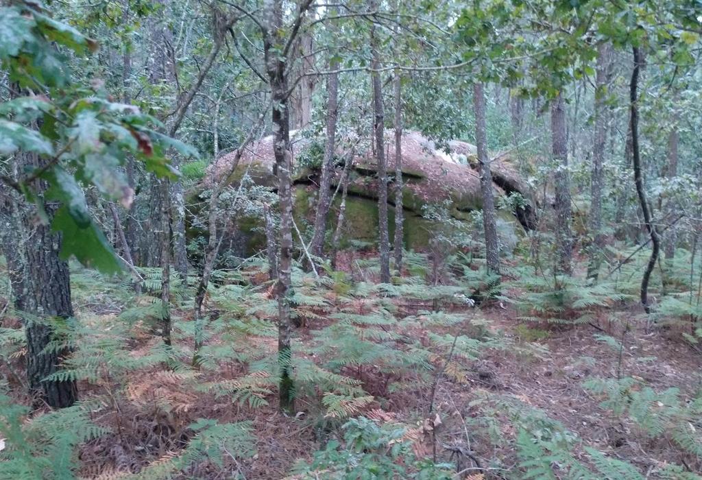 Gran Pedra Redonda - Dodro - Santa María de Dodro
