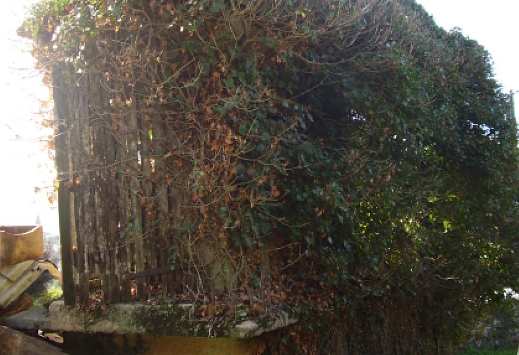 Hórreo de Dodriño - Dodro - Santa María de Dodro