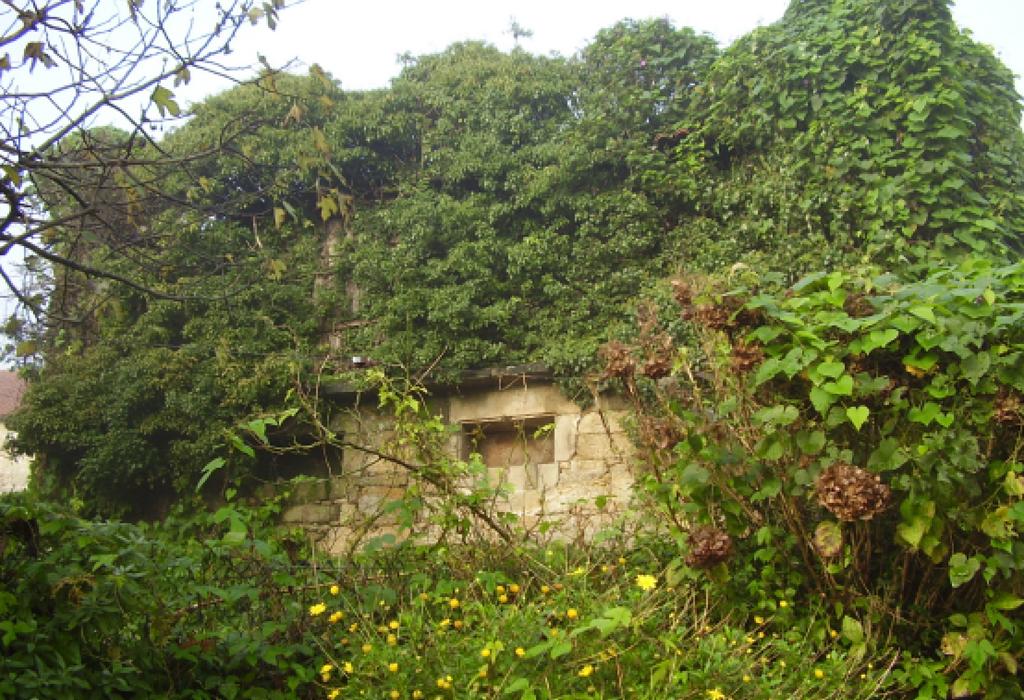 Hórreo de Imo - Dodro - San Xoán  de Laíño