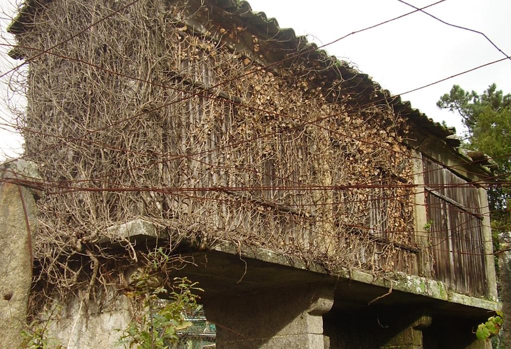 Hórreo de Tarrío - Dodro - San Xián de Laíño