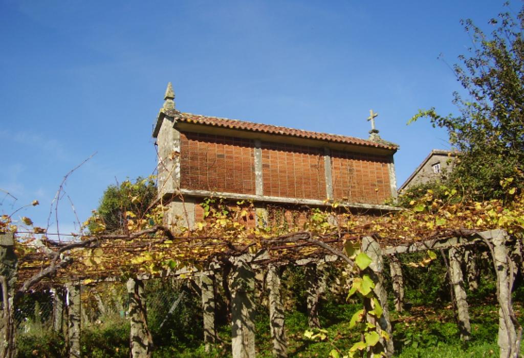 Hórreo de Traxeito - Dodro - San Xián de Laíño