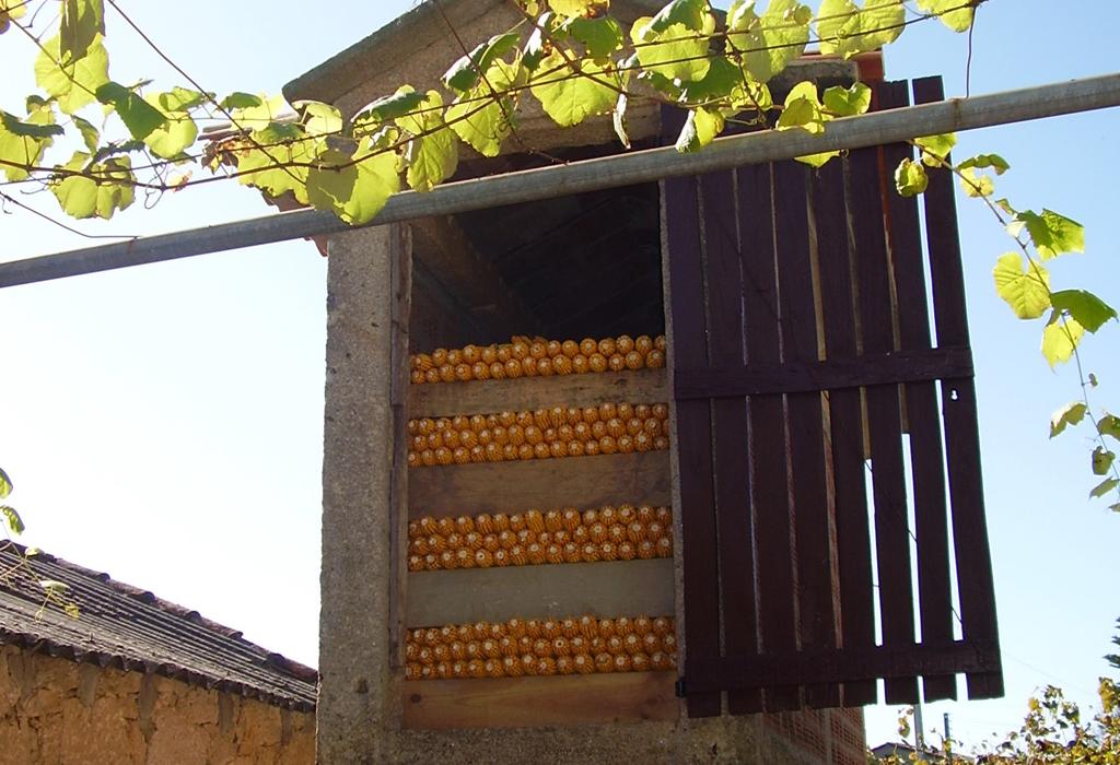 Hórreo de Vigo - Dodro - Santa María de Dodro