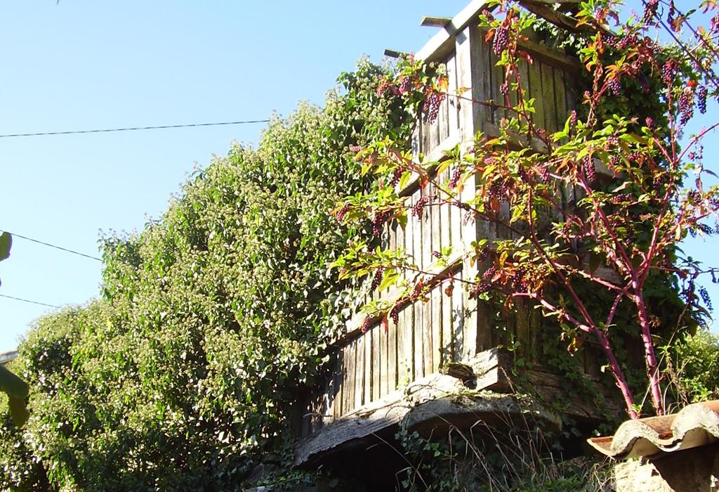 Hórreo de Vigo - Dodro - Santa María de Dodro
