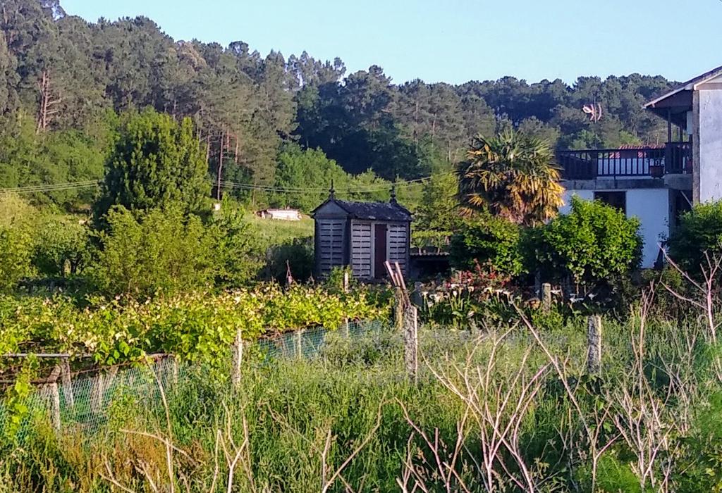 Hórreo do Campo - Valga - Santa María de Xanza