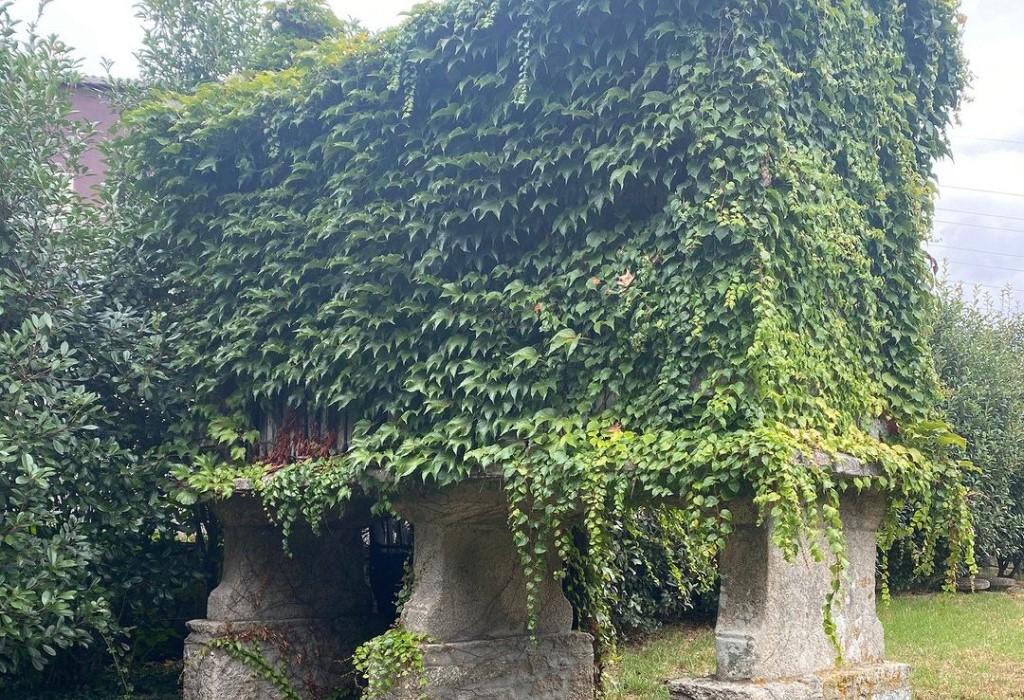 Hórreo do Pazo do Barco - Padrón - Santa María de Iria Flavia