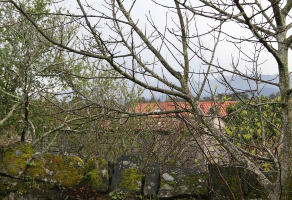 Hórreo do Pazo dos Torrado de Brión - Rianxo - Santa María de Leiro